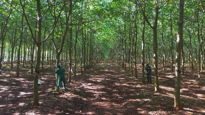 Chung tay thực hiện mục tiêu khám sức khỏe toàn dân | Vươn Khơi - Ngày 22/10/2026- Ảnh 6.
