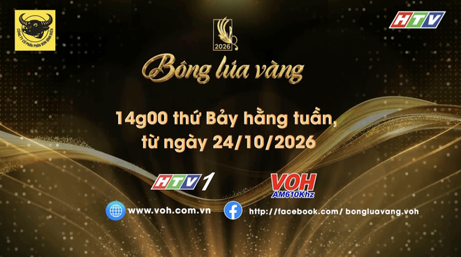 Giới thiệu vòng Trổ đòng - Bông lúa vàng 2026 - Ảnh 4.