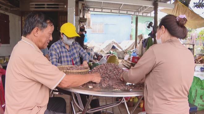Ngành gỗ đẩy mạnh đa dạng hóa thị trường xuất khẩu | Vươn Khơi - Ngày 28/10/2026 - Ảnh 5.