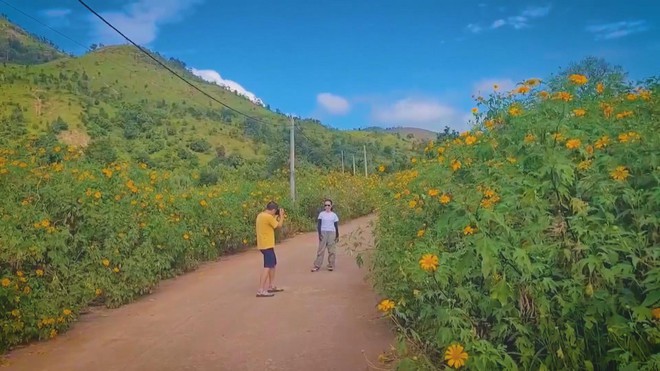 Khởi động Lễ hội hoa dã quỳ và Festival Cồng chiêng Gia Lai - Ảnh 3.