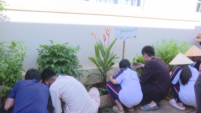 Người trao truyền nét đẹp đờn ca tài tử | Vươn Khơi - Ngày 30/10/2026 - Ảnh 4.