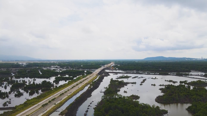 Vươn khơi - Ngày 1/2/2026 | Nông dân trồng mai bước vào thời điểm quan trọng nhất- Ảnh 9. Vươn khơi - Ngày 1/2/2026 | Nông dân trồng mai bước vào thời điểm quan trọng nhất- Ảnh 9.