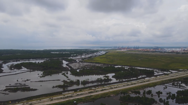Vươn khơi - Ngày 1/2/2026 | Nông dân trồng mai bước vào thời điểm quan trọng nhất- Ảnh 8. Vươn khơi - Ngày 1/2/2026 | Nông dân trồng mai bước vào thời điểm quan trọng nhất- Ảnh 8.