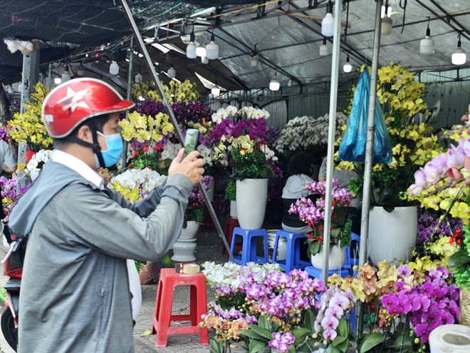 TP. Hồ Chí Minh: Tiểu thương sẵn sàng nguồn hoa phục vụ người dân dịp Tết - Ảnh 2.