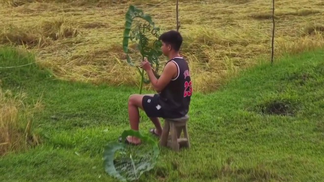 Phillipines: Tác phẩm nghệ thuật từ những chiếc lá - Ảnh 2.