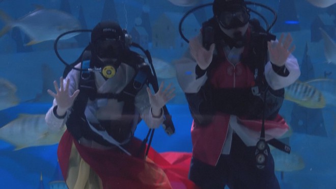 Hàn Quốc: Trình diễn đặc biệt chào đón năm mới tại Thủy cung - Ảnh 2.