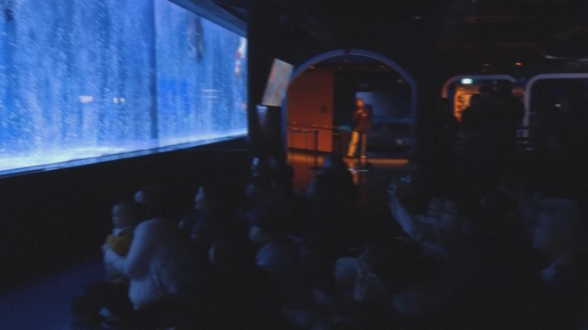 Hàn Quốc: Trình diễn đặc biệt chào đón năm mới tại Thủy cung - Ảnh 4.