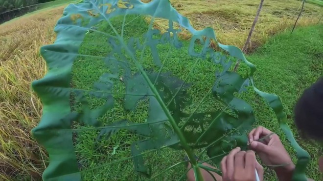 Phillipines: Tác phẩm nghệ thuật từ những chiếc lá - Ảnh 4.