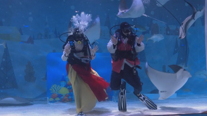 Hàn Quốc: Trình diễn đặc biệt chào đón năm mới tại Thủy cung - Ảnh 7.