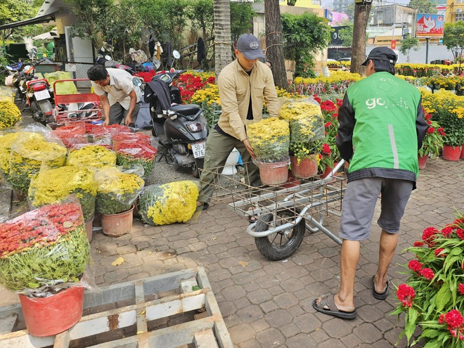 TP. Hồ Chí Minh: Tiểu thương sẵn sàng nguồn hoa phục vụ người dân dịp Tết - Ảnh 8.
