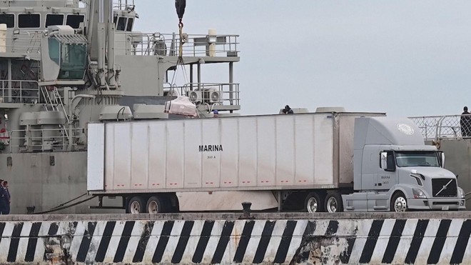 Tin Thế giới 24 Giờ ngày 8/2/2026 | Mexico tăng cường an ninh trước thềm World Cup 2026 - Ảnh 8.