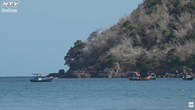 Hành trình đầy cảm xúc trên "Côn Đảo xanh" - Ảnh 2.