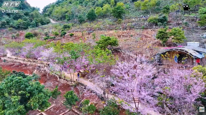 "Lời hẹn với mùa Xuân dân tộc" - 8g Mùng 2 Tết trên HTV - Ảnh 6.