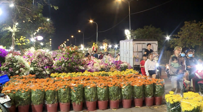 Hội hoa xuân trên Thành phố: Sắc xuân hội tụ, rộn ràng không khí đón Tết Bính Ngọ 2026 - Ảnh 5.