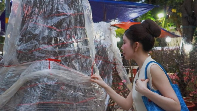 60 Giây ngày 15/2/2026 | TP. Hồ Chí Minh: Thời gian miễn phí vé xe buýt dịp Tết- Ảnh 1. 60 Giây ngày 15/2/2026 | TP. Hồ Chí Minh: Thời gian miễn phí vé xe buýt dịp Tết- Ảnh 1.