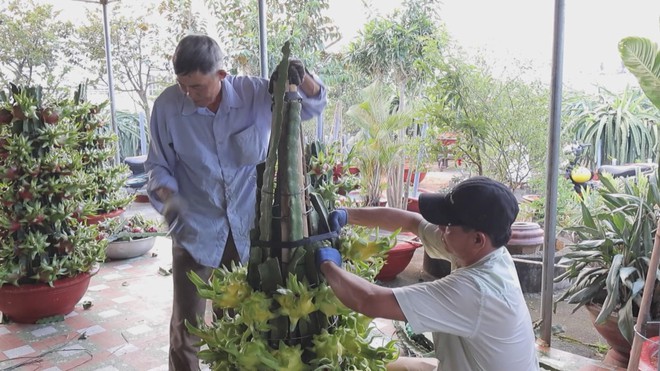 60 Giây ngày 15/2/2026 | TP. Hồ Chí Minh: Thời gian miễn phí vé xe buýt dịp Tết- Ảnh 4. 60 Giây ngày 15/2/2026 | TP. Hồ Chí Minh: Thời gian miễn phí vé xe buýt dịp Tết- Ảnh 4.