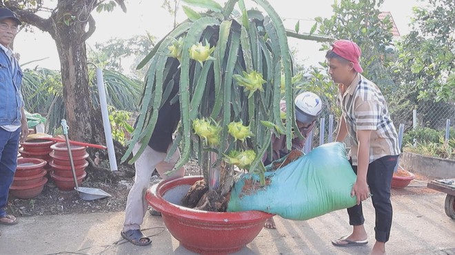 60 Giây ngày 15/2/2026 | TP. Hồ Chí Minh: Thời gian miễn phí vé xe buýt dịp Tết- Ảnh 5. 60 Giây ngày 15/2/2026 | TP. Hồ Chí Minh: Thời gian miễn phí vé xe buýt dịp Tết- Ảnh 5.