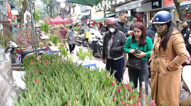 Chợ hoa Hàng Lược: Phiên chợ hơn 100 năm tuổi giữa lòng phố cổ- Ảnh 8.