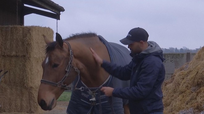 Biến phân ngựa thành chất liệu nhựa- Ảnh 1.