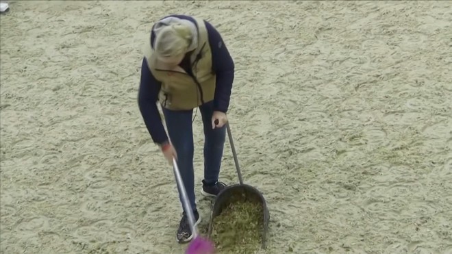 Biến phân ngựa thành chất liệu nhựa- Ảnh 3.