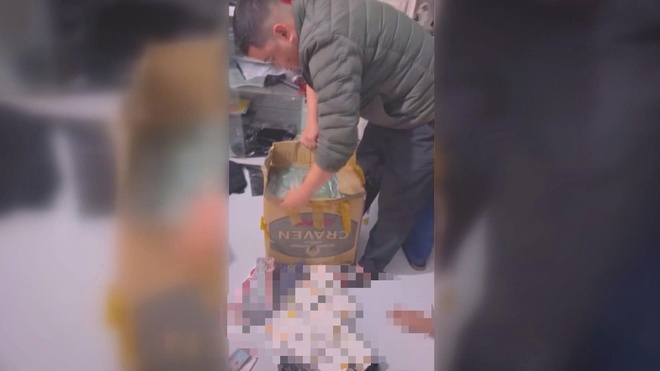 60 Giây ngày 16/2/2026 | Xu hướng trang trí Tết Bính Ngọ 2026 - Ảnh 5.