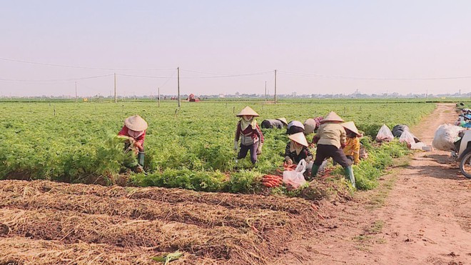 60 Giây ngày 14/2/2026 | Xuân trên những công trình mở lối tương lai  - Ảnh 5.