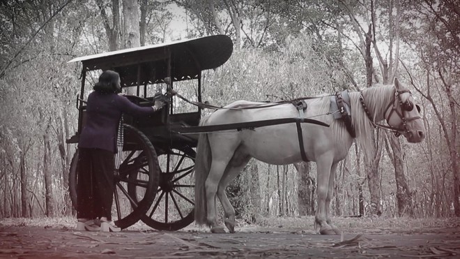 Năm Ngọ nói chuyện ngựa - Ảnh 3.