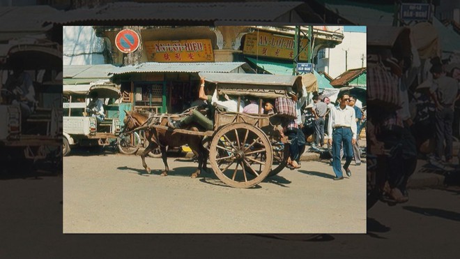 Năm Ngọ nói chuyện ngựa - Ảnh 5.