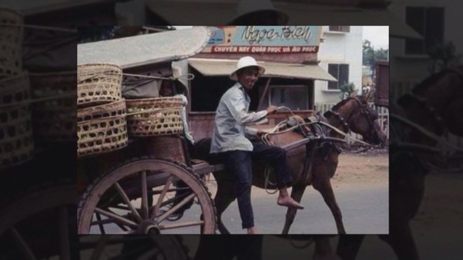 Năm Ngọ nói chuyện ngựa - Ảnh 6.