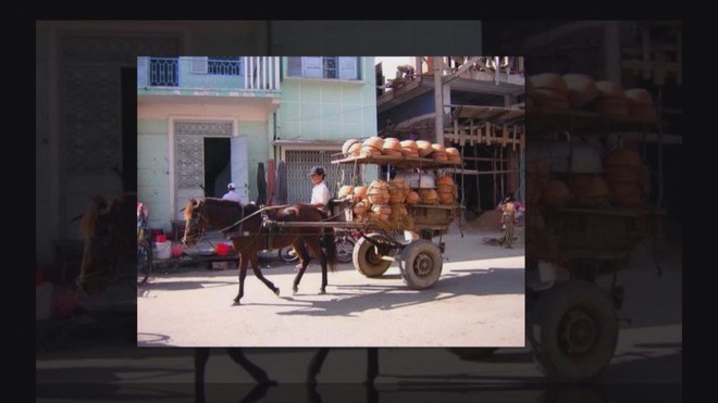 Năm Ngọ nói chuyện ngựa - Ảnh 7.