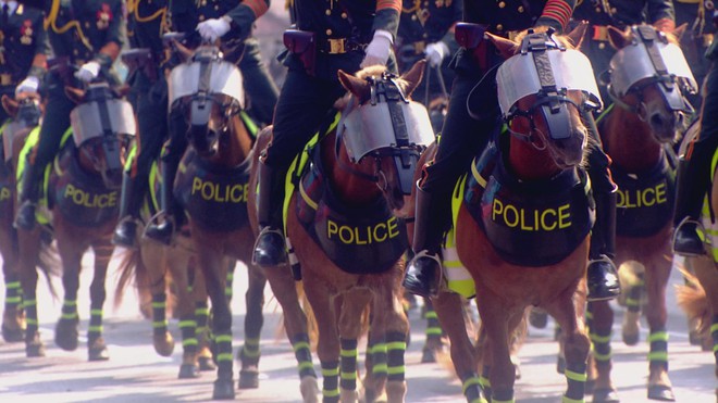 Năm Ngọ nói chuyện ngựa - Ảnh 2.