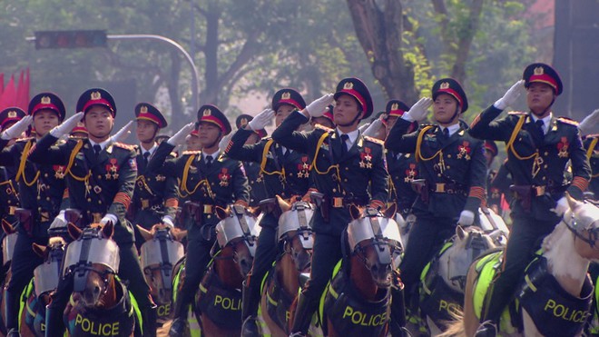 Năm Ngọ nói chuyện ngựa - Ảnh 1.