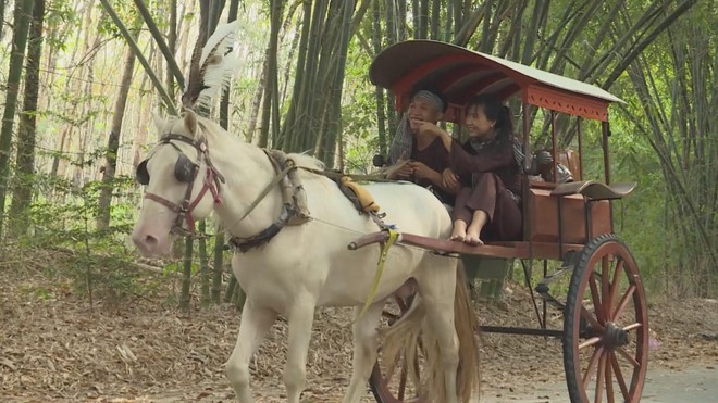 60 Giây ngày 18/2/2026 | Giữ hồn xe thổ mộ giữa đô thị hiện đại - Ảnh 1.