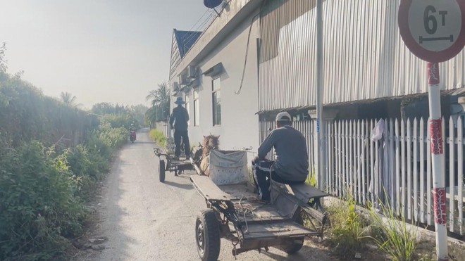 60 Giây ngày 18/2/2026 | Giữ hồn xe thổ mộ giữa đô thị hiện đại - Ảnh 4.