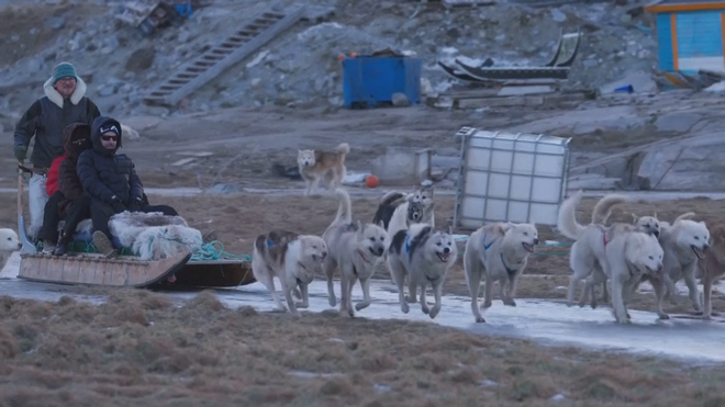 Biến đổi khí hậu ảnh hưởng văn hóa chó kéo xe ở Greenland - Ảnh 1.