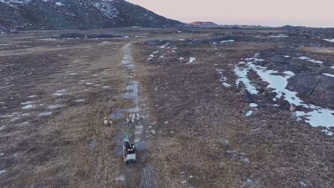 Biến đổi khí hậu ảnh hưởng văn hóa chó kéo xe ở Greenland - Ảnh 2.
