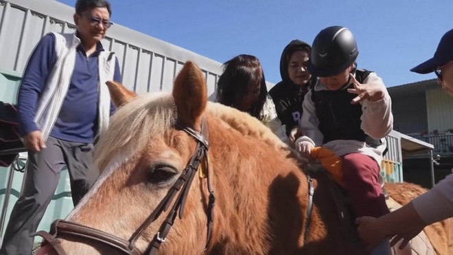 Trung Quốc: Dùng ngựa hỗ trợ điều trị chứng tự kỷ và bại não - Ảnh 2.