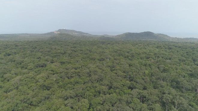 Xuyên Tết trực chiến bảo vệ rừng - Ảnh 4.