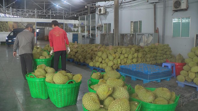 Thời sự trưa HTV ngày 23/2/2026 I Cửa ngõ phía đông thông thoáng trong ngày đầu làm việc sau tết nguyên đán - Ảnh 3.