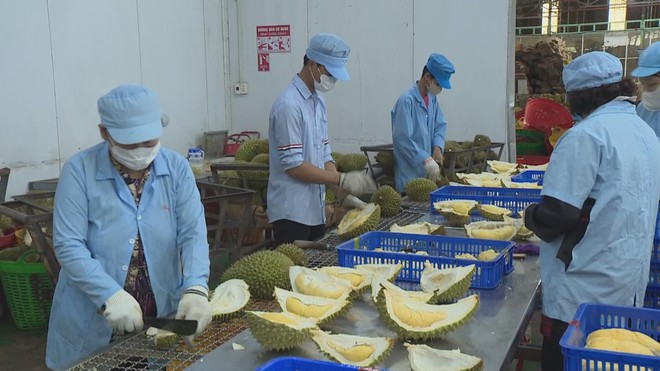 Thời sự trưa HTV ngày 23/2/2026 I Cửa ngõ phía đông thông thoáng trong ngày đầu làm việc sau tết nguyên đán - Ảnh 4.