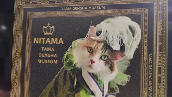 Gặp gỡ các trưởng ga mèo ở Nhật Bản - Ảnh 2.