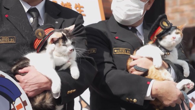 Gặp gỡ các trưởng ga mèo ở Nhật Bản - Ảnh 1.