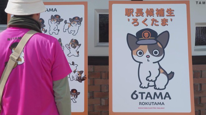 Gặp gỡ các trưởng ga mèo ở Nhật Bản - Ảnh 3.