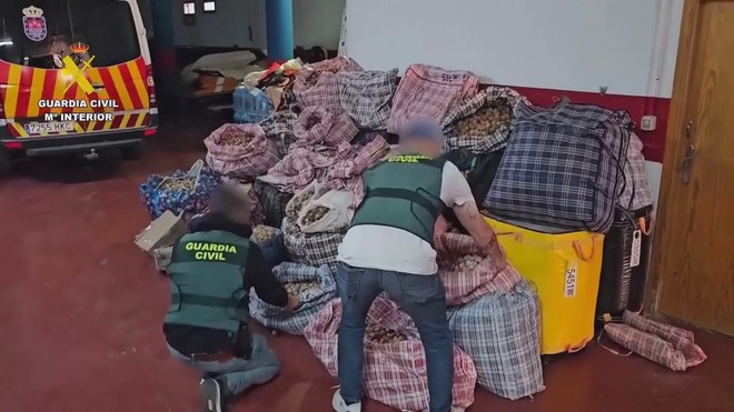 Tây Ban Nha: Bắt giữ 3 nghi phạm vận chuyển hơn nửa tấn quả khô cây thuốc phiện - Ảnh 1.