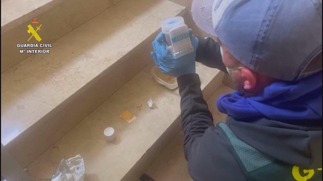 Tây Ban Nha: Bắt giữ 3 nghi phạm vận chuyển hơn nửa tấn quả khô cây thuốc phiện - Ảnh 3.