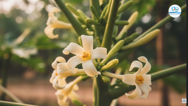 HTV - Chiến thắng ung thư: Một điểm hẹn tin cậy - Ảnh 6.