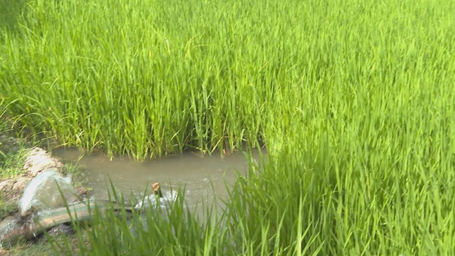 Thời sự trưa HTV ngày 24/2/2026 I Nhiều điểm mới trong Luật Bầu cử tạo thuận lợi cho công tác tổ chức bầu cử - Ảnh 4.