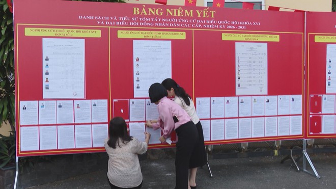 TP. Hồ Chí Minh: Hoàn tất các phương án, đảm bảo quyền lợi cho cử tri bầu cử sớm - Ảnh 1.