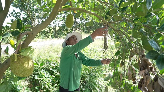 Mái ấm gia đình Việt: Chuyện em Vinh - cậu học trò đi bộ gần 9km đến trường - Ảnh 2.