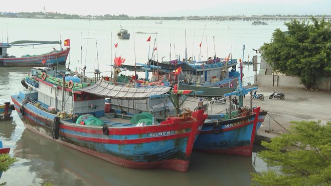 Khí thế ra khơi ngày đầu năm: Khi niềm tin hòa cùng sắc cờ đỏ sao vàng - Ảnh 7.